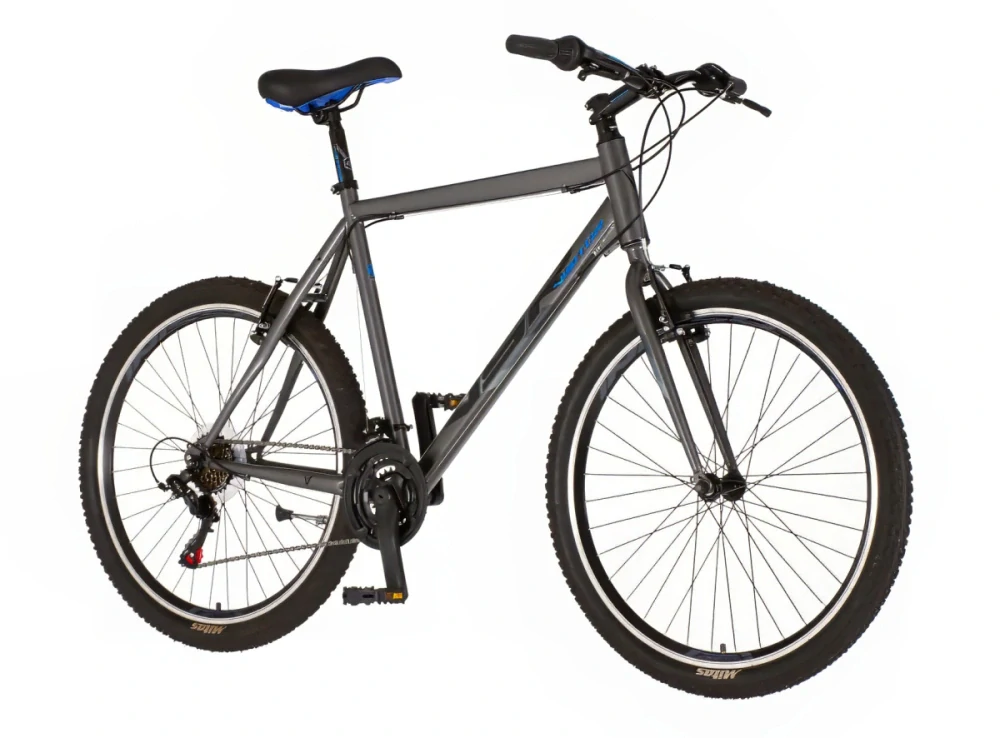 Bicykel Visitor Proclassic 26" Sivá