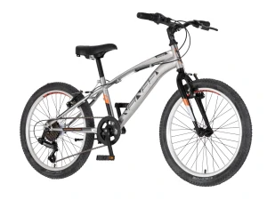 Bicykel Visitor Venssini Arcadia 20" Strieborná Čierna G