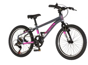 Bicykel Visitor Radiance 20" Sivo Ružová