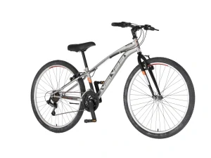 Bicykel Venssini Arcadia 27" Strieborná Čierna