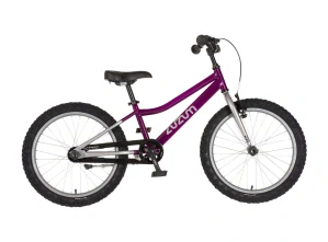 Bicykel ZUZUM-2 20" Fialový Chróm Girl