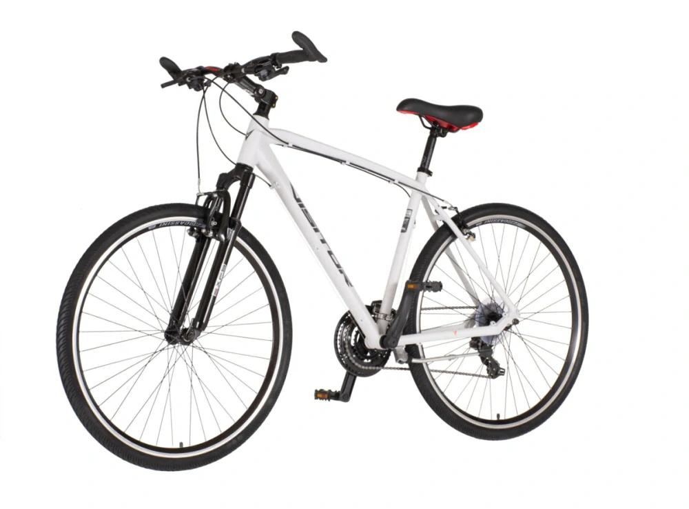 Bicykel Explorer TERRA MAN Sport 28" Biela Sivá