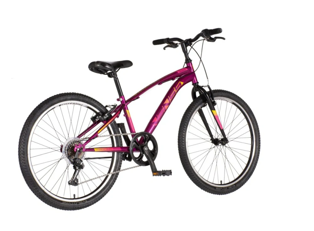 Bicykel Visitor Arcadia 24" Bordová Ružová KIDS