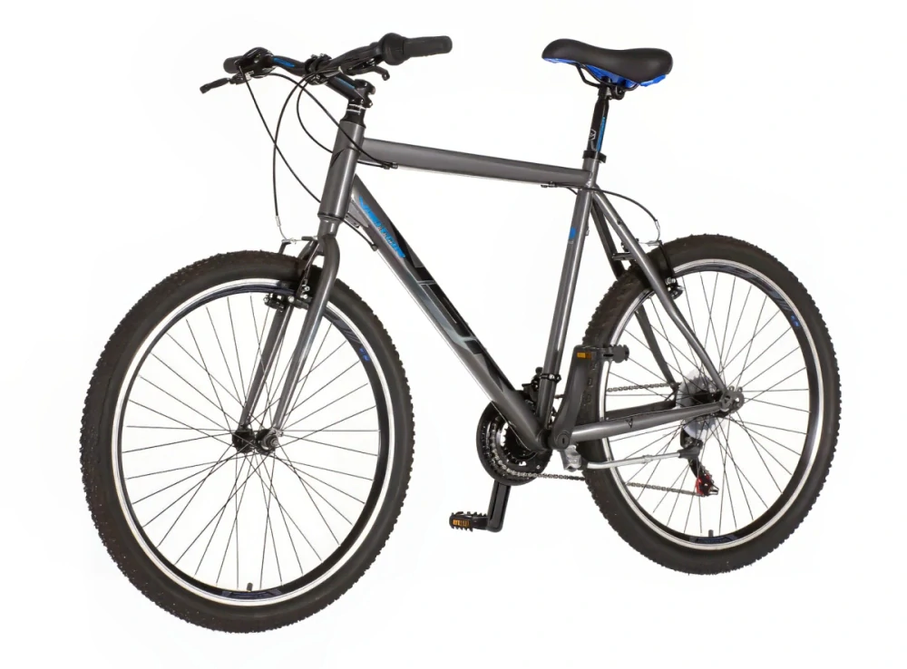 Bicykel Visitor Proclassic 26" Sivá